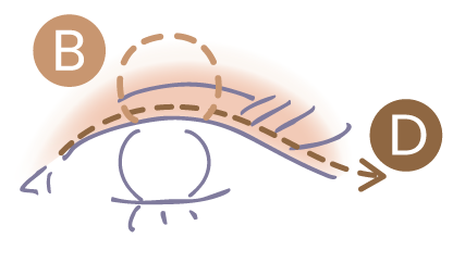 STEP2 DとBを目のキワと黒目の上に塗る図解