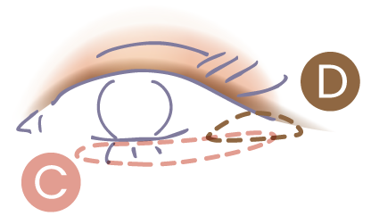 STEP3 Dを目尻に、Cを涙袋に塗る図解