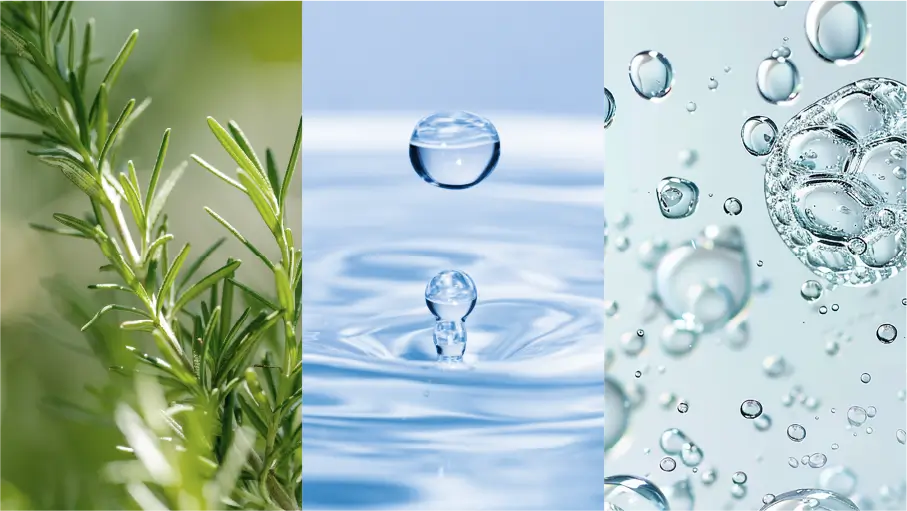 保湿美容液成分イメージ ローズマリー葉エキス・ヒアルロン酸Na・セラミドNP